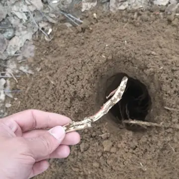 Пробная лунка на замере в городском посёлке Рахья — фото 2