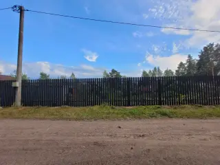 Забор из штакетник типа заборы из штакетника высотой 2 м, установлен в Выборг (фотоотзыв клиента) — фото 1 (4 из 5)