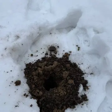 Пробная лунка на замере в городе Волхов — фото 1