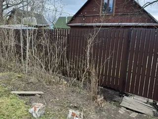 Фото из отзыва — Елена